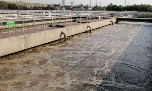 運(yùn)營項目范圍