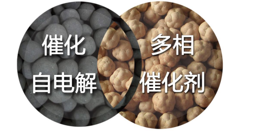 圖片.png 圖片.png