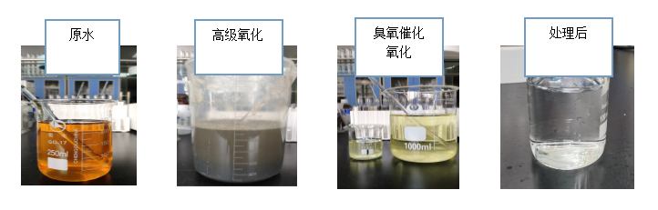 圖片1.png 圖片1.png